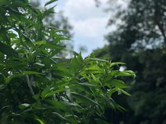 -桃花涧