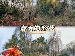 -郑州植物园