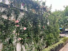 -春暖花开(西溪店)