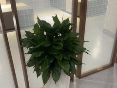 -爱康国宾体检中心(北京航天桥光耀东方分院)