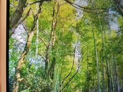 -故乡缘·香格里拉山庄(冷竹路店)