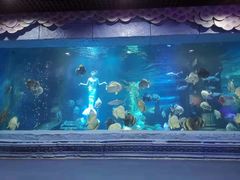 -梦幻海洋王国(吾悦广场张家港店)