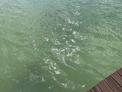 -南北湖风景区