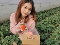 -小鱼草莓采摘园农家乐·小鱼餐厅