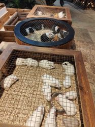 -酷嗒动物文化乐园(cutezoo西溪乐天城店)