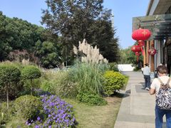 -同里国家湿地公园