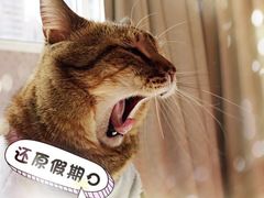 -吉亨面馆(古北1699店)
