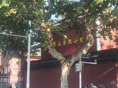 -长春观斋补堂素菜馆