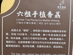 -国恩寺