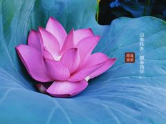 -艾溪湖湿地公园
