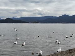 -泸沽湖国家级风景名胜区走婚桥