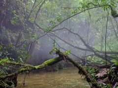 -怀托摩萤火虫洞