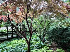 -大连植物园
