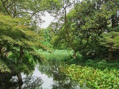 -茅家埠