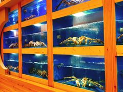 水产区-大岛日本料理铁板烧(南通大饭店)