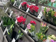 -鹿岛生活(熙地港店)