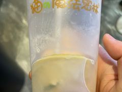 柠檬奶-猫的魔法密林(衣裳街店)