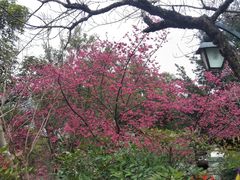 -乌山风景区