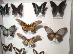-吉林省自然博物馆