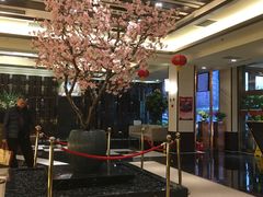 -东方之珠洗浴休闲广场(南开店)