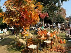 -HERRE·FARM 赫尔露营农场·团建聚会包场