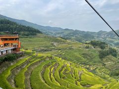 -紫鹊界梯田景区