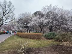 -国家植物园南园