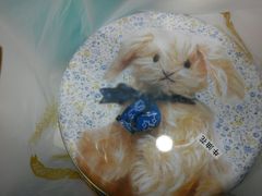 -珍妮曲奇聪明小熊(尖沙咀店)