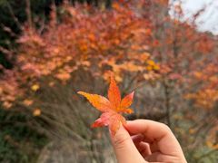 -山王坪喀斯特国家生态公园