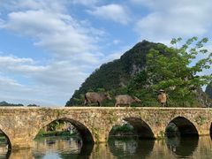 -靖西鹅泉风景区
