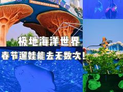 -石家庄极地海洋世界
