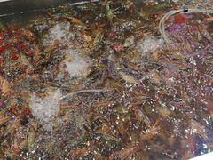 -赵氏老北京涮羊肉羊蝎子(蓝村店)