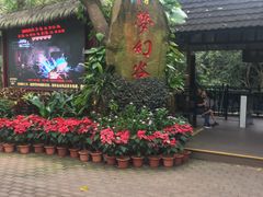 -呀诺达热带雨林
