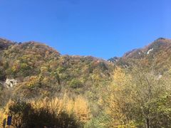 -终南山国家森林公园