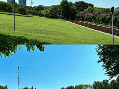 -紫马岭公园