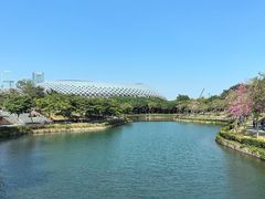 -深圳人才公园