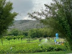 -三亚南山文化旅游区