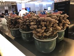 -捞王锅物料理(上海世茂广场店)