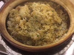-百利鸽王(紫薇路店)