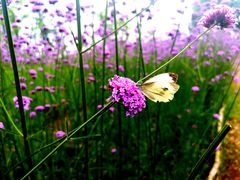 -杭州城北体育公园