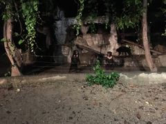 -清迈夜间动物园