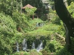 -青城山