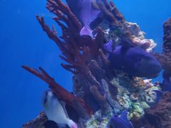 -海合安武汉极地海洋公园