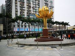 -金莲花广场