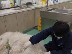 -北京观赏动物医院·24小时大型综合·猫专科·异宠专科