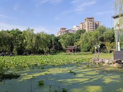 -莲湖公园