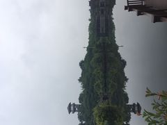 景点-张坝桂圆林公园