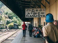 -霍顿平原国家公园