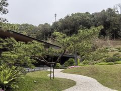 -云溪植物园