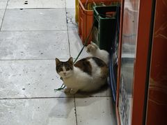 -老丘丘(较场口店)